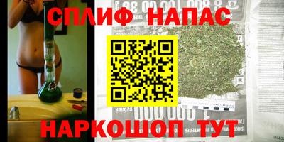 ГАЛЛЮЦИНОГЕННЫЕ ГРИБЫ Сланцы