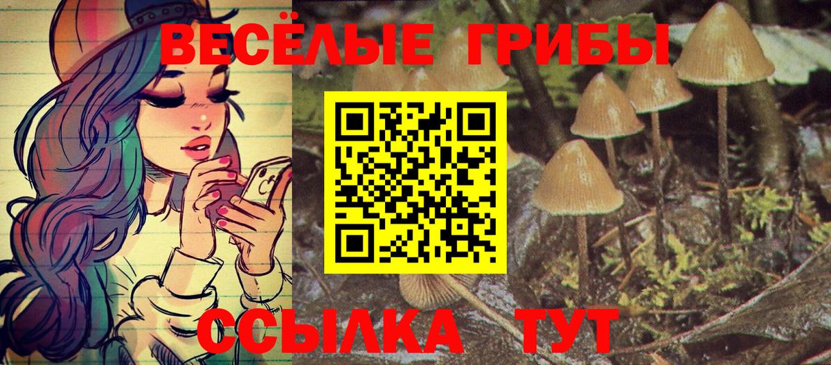 купить   Псилоцибиновые грибы ЛСД  Псилоцибиновые грибы прущие грибы  Вход с VPN  Ревда 